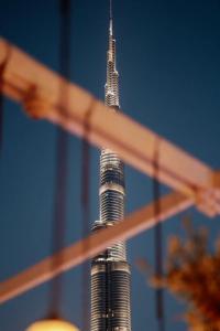 Dusit Thani Dubai - 14