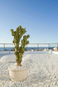 ALEGRIA Plaza Paris 4*Sup - 40