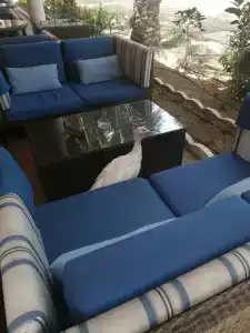 Coral Beach Resort Sharjah - 24