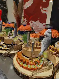 Royal Dragon – All Inclusive - 15