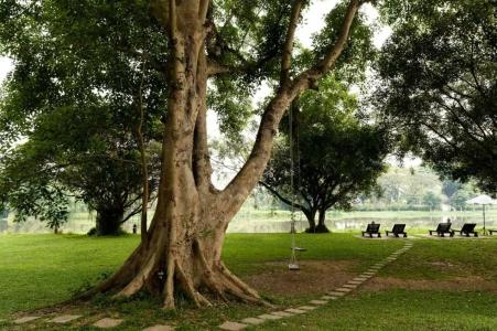 The Legend Chiang Rai Boutique River Resort & Spa - SHA Extra Plus - 35