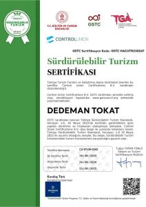 Dedeman Tokat - 9