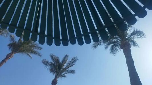 Le Pacha Resort - 50