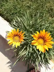 IL Mercato & Spa - 62