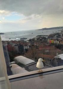 Conrad Istanbul Bosphorus - 89