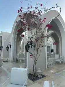 Steigenberger Alcazar - 65