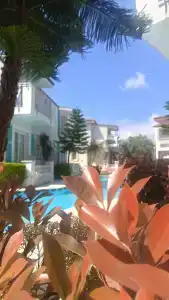 Selectum Family Comfort Side - 39