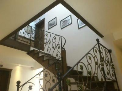 Assos Behram Special Class Adult Only 12 - 61