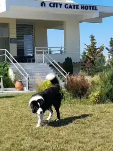 City Gate Airport Thessaloniki - 3