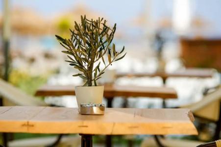 Assos Barbarossa - Special Category - 56