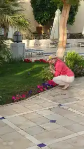 The Grand Sharm El Sheikh - 84