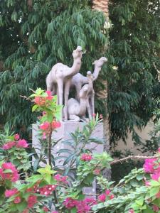 Sindbad Club - 35