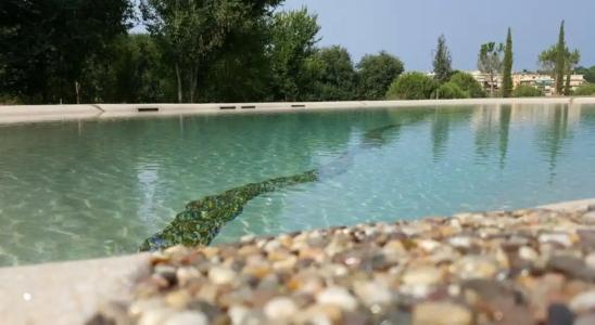 A.Roma Lifestyle - 28