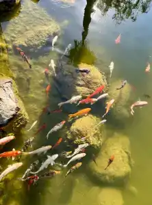 Flora Garden BEACH - Couples Concept - Adults over 16 Only - 30