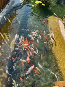 Club Tuana Fethiye - All Inclusive - 27