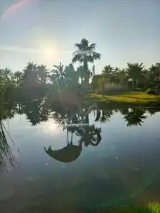 Club Turan Prince World - Kids Concept - 48