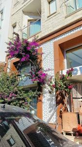 Sonne - Adults Only - 19