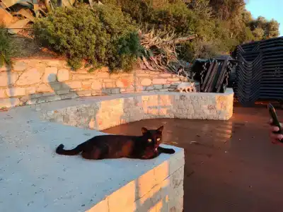 Labranda TMT Bodrum - 73