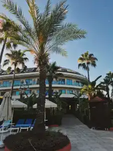 Grand Nar Adults Only - 86