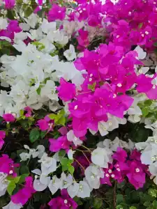 Mercure Hurghada - 34