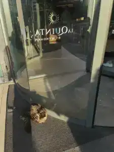 La Quinta by Wyndham Istanbul Gunesli - 41