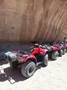 Grand Rotana Resort & Spa - 42