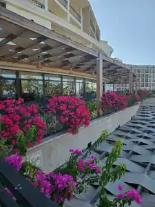 Selectum Family Comfort Side - 49