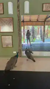 Layla Gocek Adults only - 16