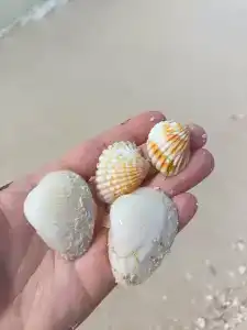 Wyndham Garden Ajman Corniche - 30