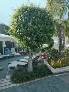 Side Resort Annex - 55