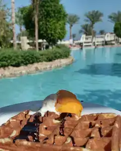 The Grand Sharm El Sheikh - 91