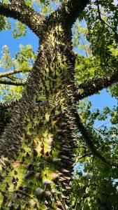 Kimera Lounge Boutique & Spa - 27