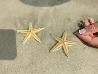 Four Points by Sheraton Sharjah - 69