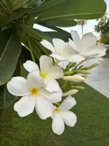 Rixos Premium Saadiyat Island - All Inclusive - 97