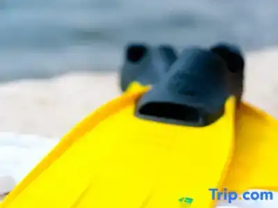 Leonardo Plaza Eilat - 11