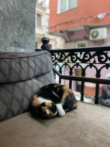 Peri Taksim - 7