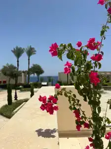 Sunrise Montemare Resort -Grand Select - 77