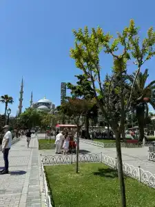Ottoman Elegance - 11
