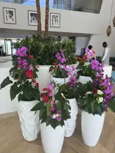 The Retreat Palm Dubai MGallery by Sofitel - 47