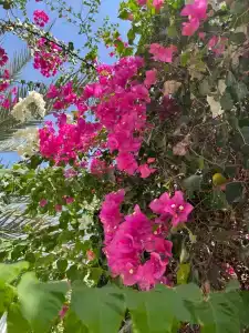 The Westin Dubai Mina Seyahi Beach Resort and Waterpark - 35