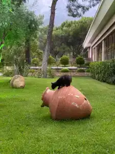 Nirvana Mediterranean Excellence - Ultra All Inclusive - 15