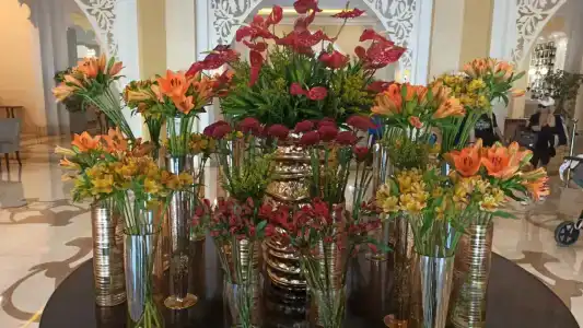 Rixos Bab Al Bahr - 97