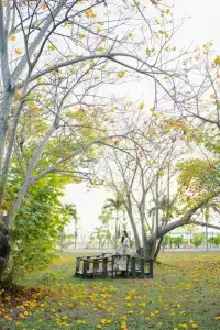 Bann Pae Cabana And Resort - 8