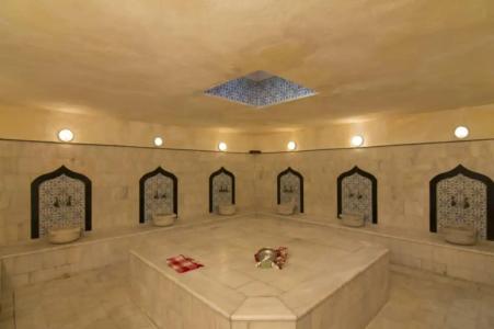 Kaila Krizantem - 73