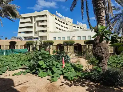 Occidental Sharjah Grand - 92