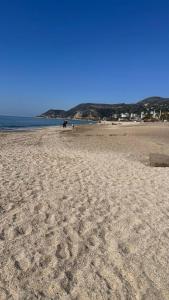 Anjeliq Downtown - 42