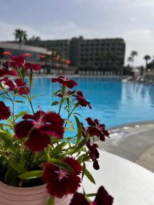 VONRESORT Elite & Aqua - Ultra All Inclusive & Kids Concept - 17