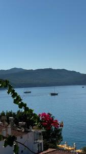 Sonne - Adults Only - 38