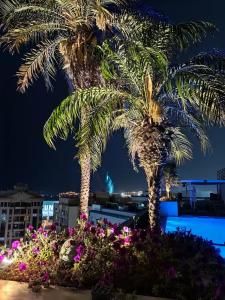 Grand Cosmopolitan - 76