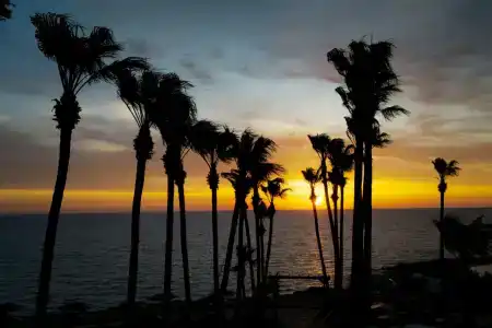 Cavo Maris Beach - 62